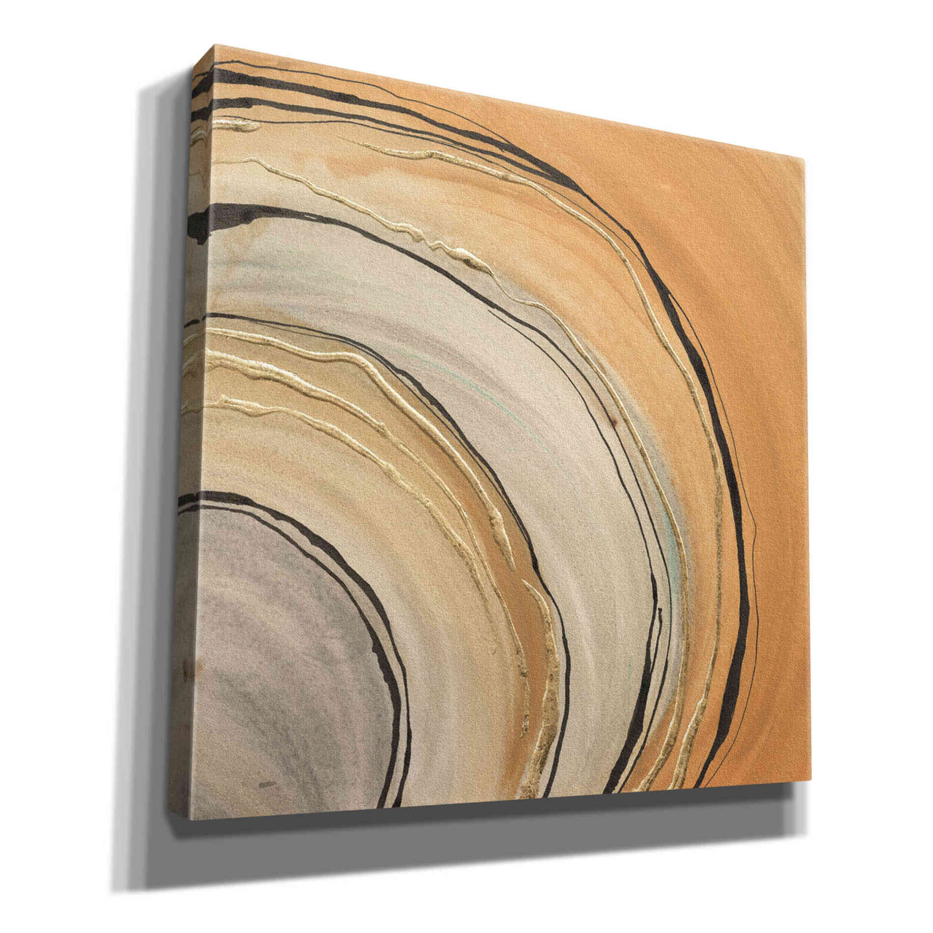 'Gilded Rings' by Chris Paschke, Canvas Wall Art