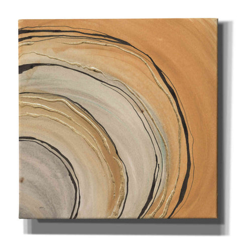 Image of 'Gilded Rings' by Chris Paschke, Canvas Wall Art