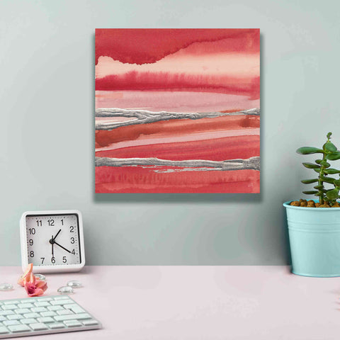 Image of 'Silver Marsh' by Chris Paschke, Canvas Wall Art,12 x 12