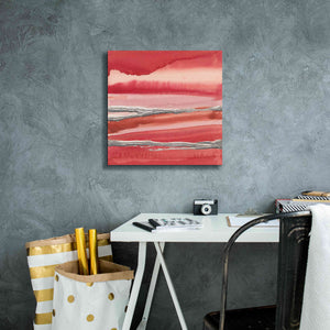 'Silver Marsh' by Chris Paschke, Canvas Wall Art,18 x 18