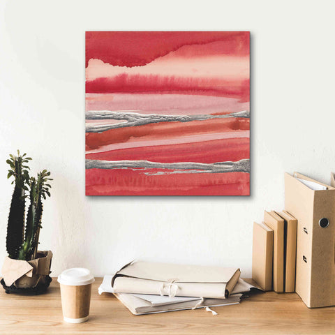 Image of 'Silver Marsh' by Chris Paschke, Canvas Wall Art,18 x 18