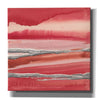 'Silver Marsh' by Chris Paschke, Canvas Wall Art