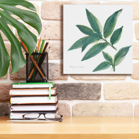 Image of 'Bay Leaf' by Chris Paschke, Canvas Wall Art,12 x 12