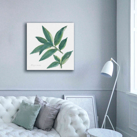 Image of 'Bay Leaf' by Chris Paschke, Canvas Wall Art,37 x 37