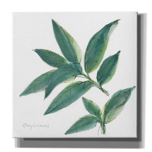 'Bay Leaf' by Chris Paschke, Canvas Wall Art