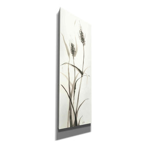 'Wild Grass I' by Chris Paschke, Canvas Wall Art
