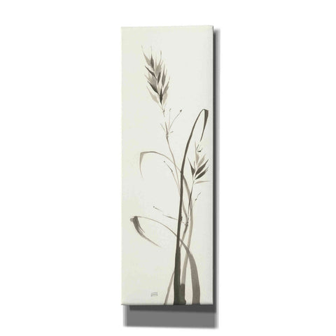 Image of 'Wild Grass II' by Chris Paschke, Canvas Wall Art