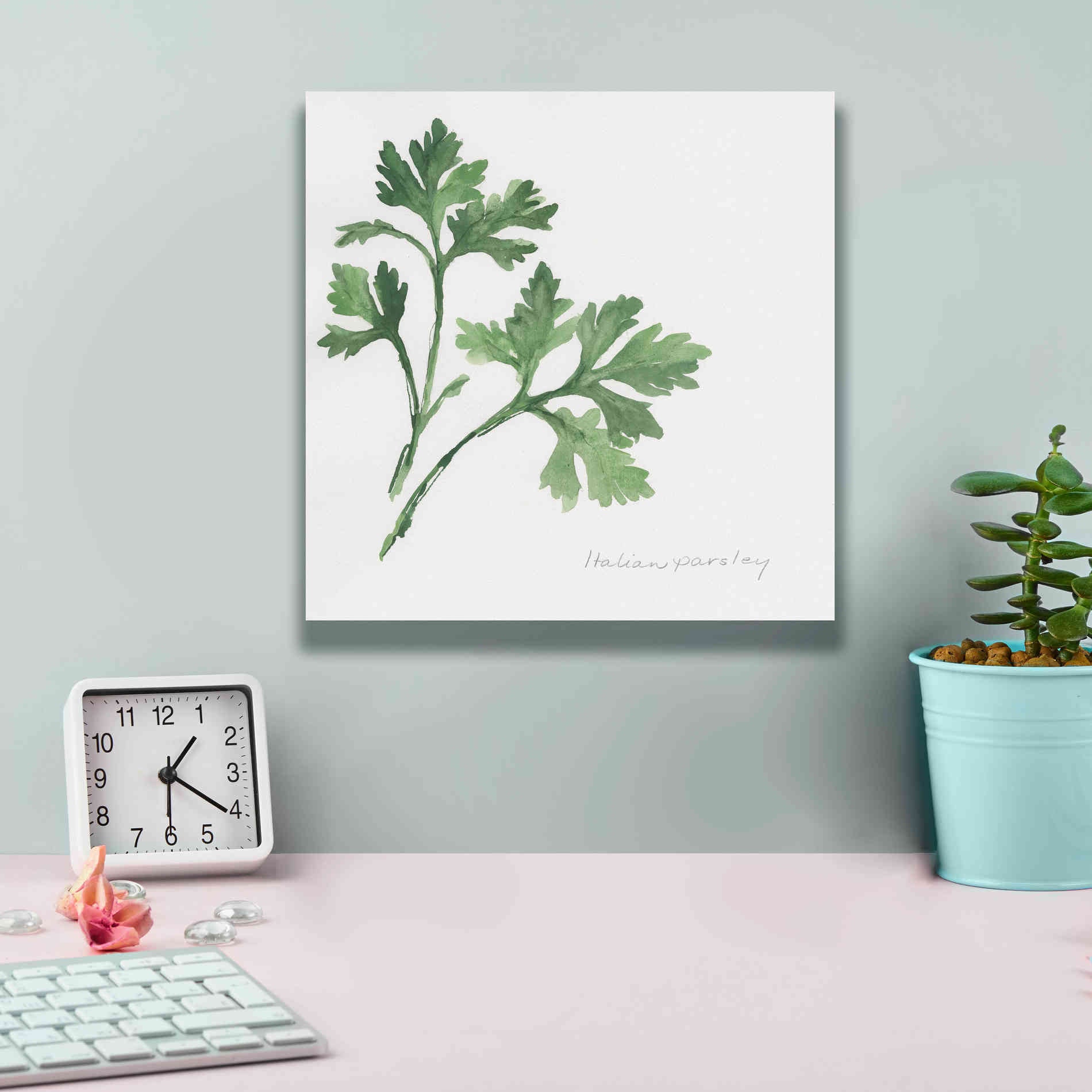 'Italian Parsley' by Chris Paschke, Canvas Wall Art,12 x 12