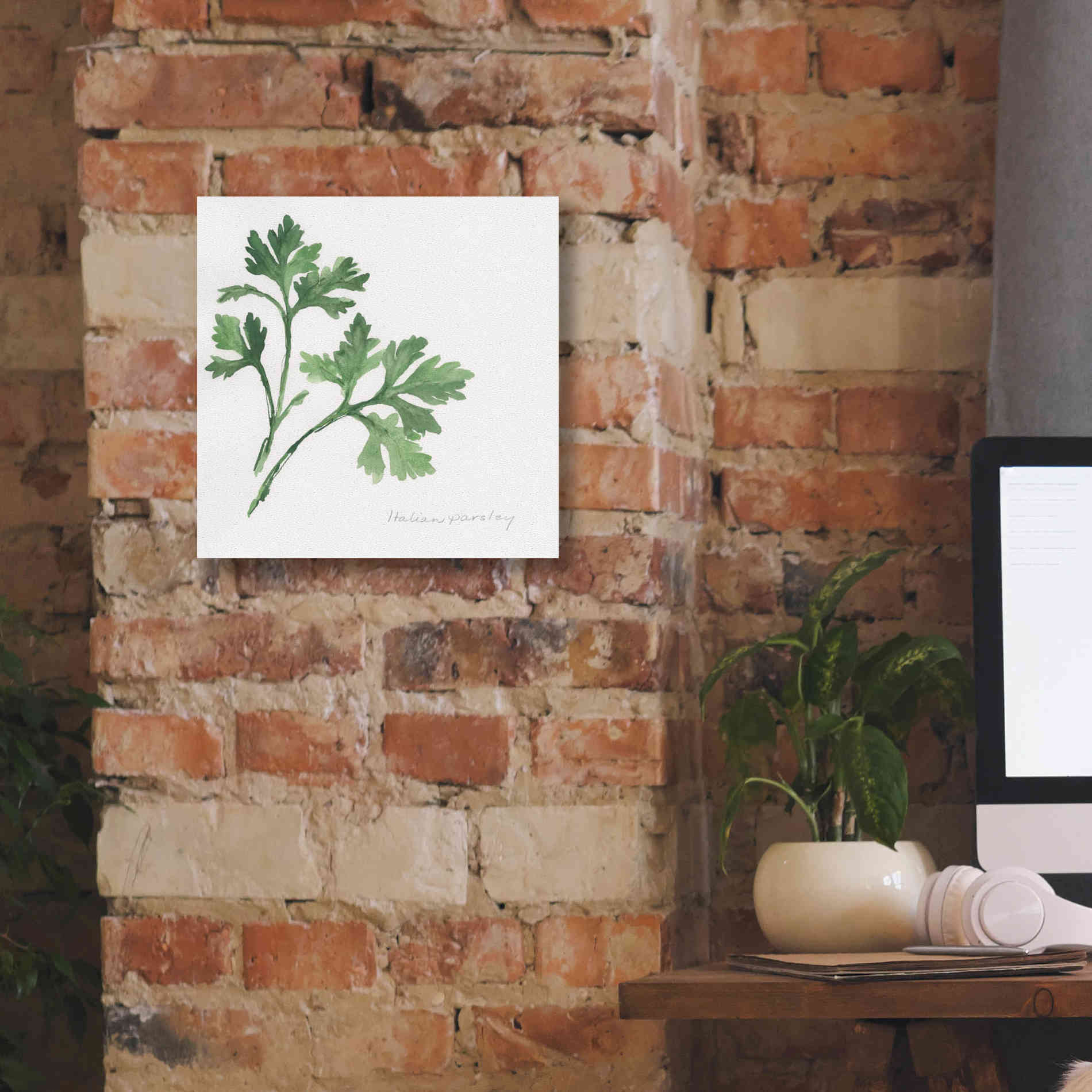 'Italian Parsley' by Chris Paschke, Canvas Wall Art,12 x 12