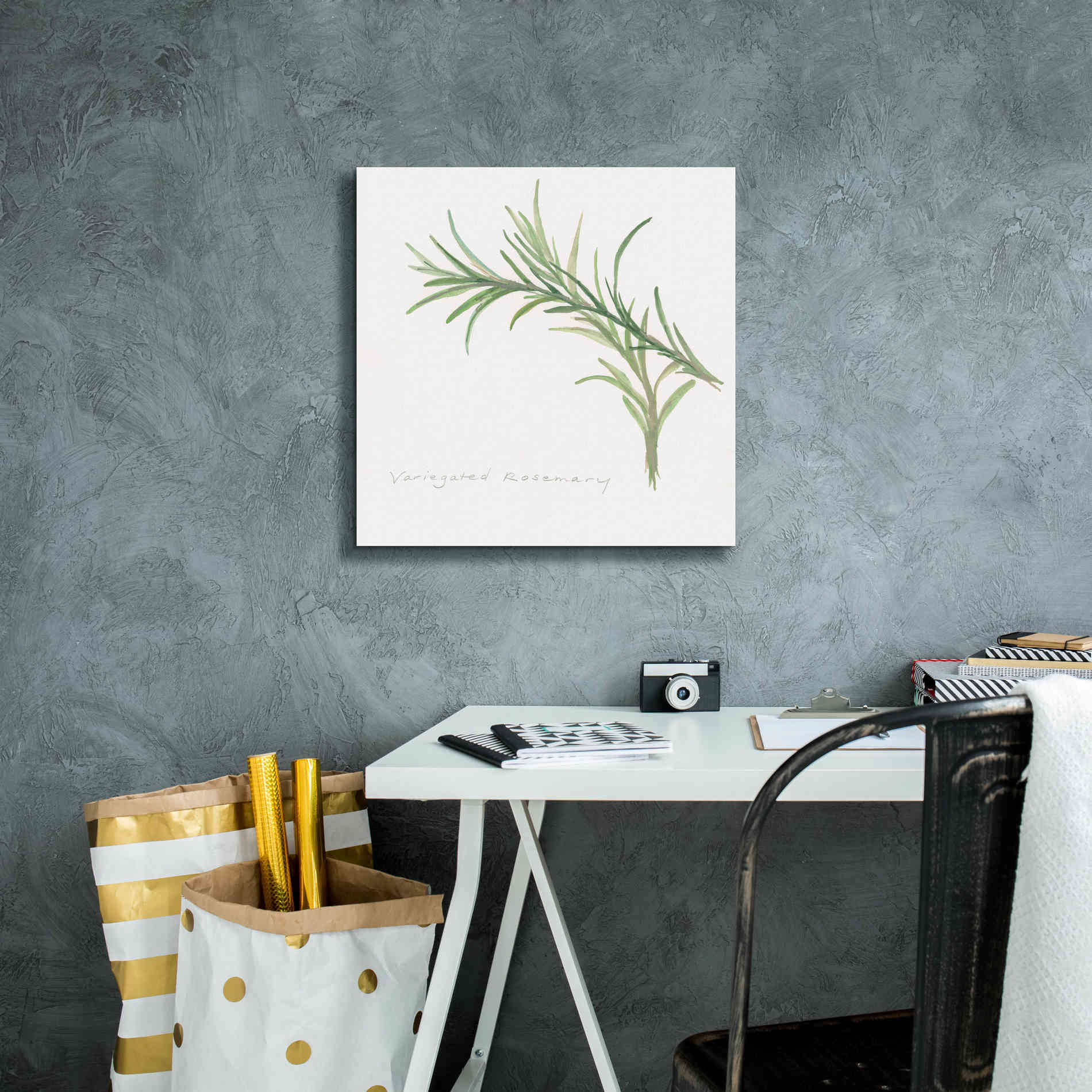 'Variegated Rosemary' by Chris Paschke, Canvas Wall Art,18 x 18