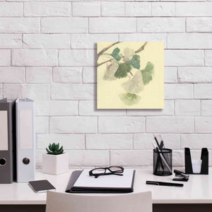 'Gingko Leaves I' by Chris Paschke, Canvas Wall Art,12 x 12