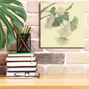 'Gingko Leaves I' by Chris Paschke, Canvas Wall Art,12 x 12
