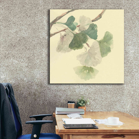 Image of 'Gingko Leaves I' by Chris Paschke, Canvas Wall Art,37 x 37