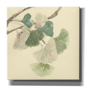 'Gingko Leaves I' by Chris Paschke, Canvas Wall Art