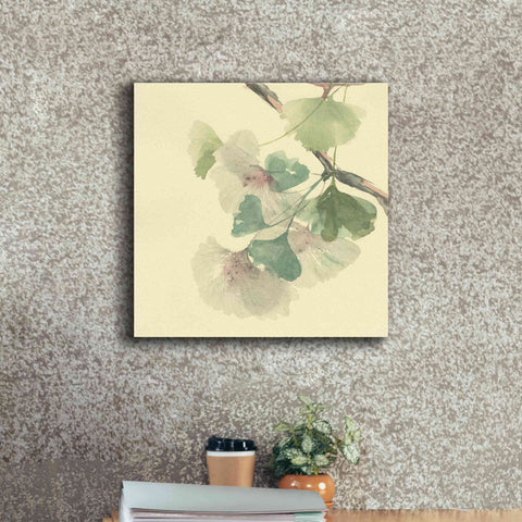Image of 'Gingko Leaves II' by Chris Paschke, Canvas Wall Art,18 x 18