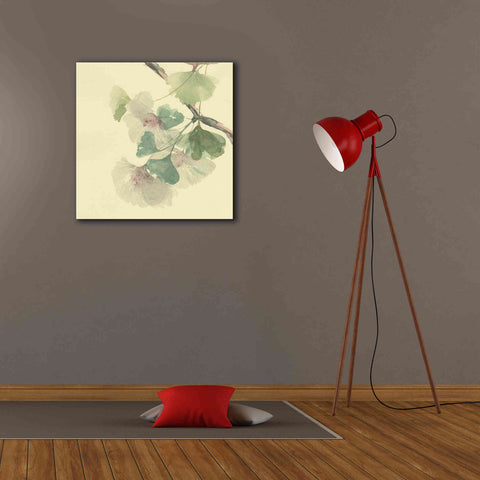 Image of 'Gingko Leaves II' by Chris Paschke, Canvas Wall Art,26 x 26