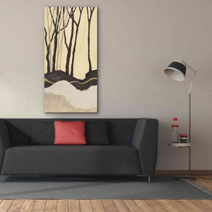 'Silhouette I' by Chris Paschke, Canvas Wall Art,30 x 60