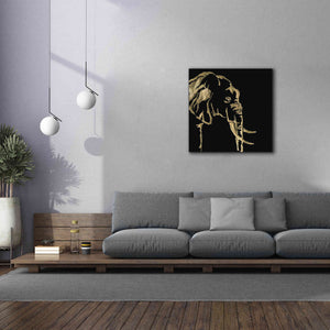 'Gilded Elephant on Black Pillow' by Chris Paschke, Canvas Wall Art,37 x 37