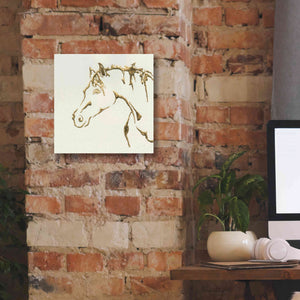 'Gilded Cowpony' by Chris Paschke, Giclee Canvas Wall Art,12 x 12