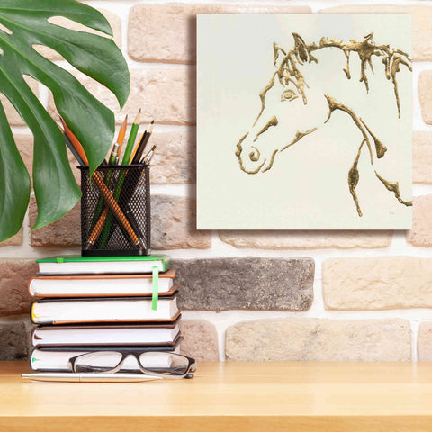 Image of 'Gilded Cowpony' by Chris Paschke, Giclee Canvas Wall Art,12 x 12