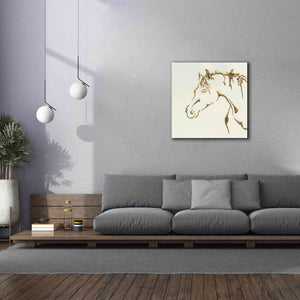 'Gilded Cowpony' by Chris Paschke, Giclee Canvas Wall Art,37 x 37