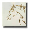 'Gilded Cowpony' by Chris Paschke, Giclee Canvas Wall Art