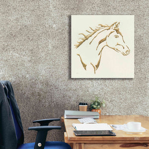'Gilded Filly' by Chris Paschke, Giclee Canvas Wall Art,26 x 26