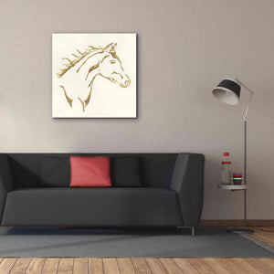 'Gilded Filly' by Chris Paschke, Giclee Canvas Wall Art,37 x 37
