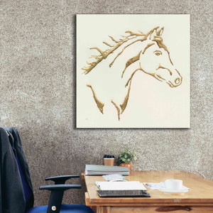 'Gilded Filly' by Chris Paschke, Giclee Canvas Wall Art,37 x 37
