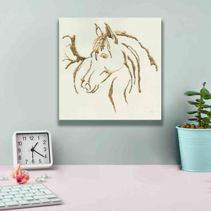 'Gilded Mare' by Chris Paschke, Giclee Canvas Wall Art,12 x 12