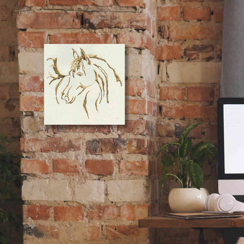 Image of 'Gilded Mare' by Chris Paschke, Giclee Canvas Wall Art,12 x 12