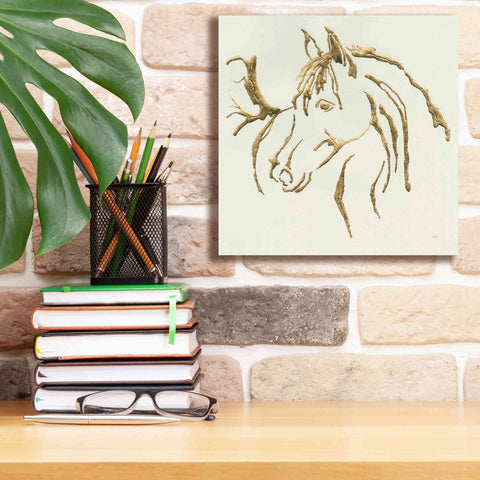 Image of 'Gilded Mare' by Chris Paschke, Giclee Canvas Wall Art,12 x 12