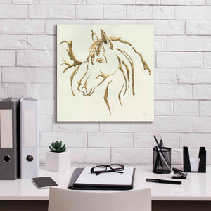 'Gilded Mare' by Chris Paschke, Giclee Canvas Wall Art,18 x 18