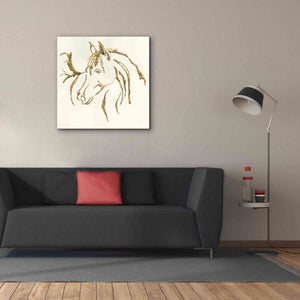 'Gilded Mare' by Chris Paschke, Giclee Canvas Wall Art,37 x 37