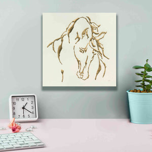 'Gilded Stallion' by Chris Paschke, Giclee Canvas Wall Art,12 x 12