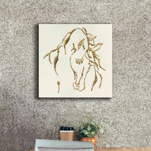 'Gilded Stallion' by Chris Paschke, Giclee Canvas Wall Art,18 x 18