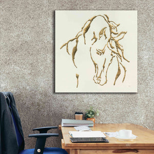 'Gilded Stallion' by Chris Paschke, Giclee Canvas Wall Art,37 x 37