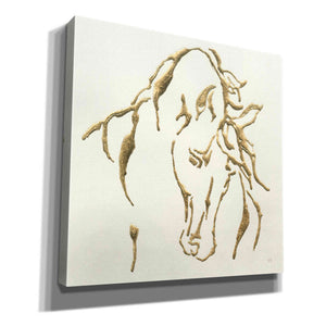 'Gilded Stallion' by Chris Paschke, Giclee Canvas Wall Art