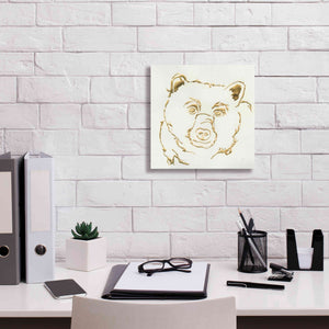 'Gilded Black Bear' by Chris Paschke, Giclee Canvas Wall Art,12 x 12
