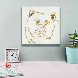 'Gilded Black Bear' by Chris Paschke, Giclee Canvas Wall Art,12 x 12