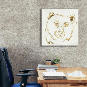 'Gilded Black Bear' by Chris Paschke, Giclee Canvas Wall Art,26 x 26