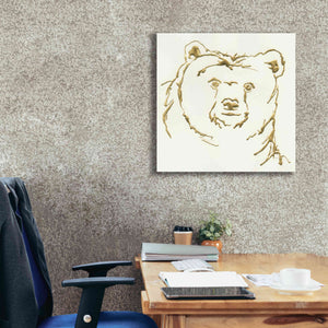 'Gilded Brown Bear' by Chris Paschke, Giclee Canvas Wall Art,26 x 26