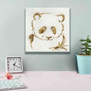 'Gilded Panda' by Chris Paschke, Giclee Canvas Wall Art,12 x 12