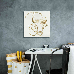 'Gilded Bison' by Chris Paschke, Giclee Canvas Wall Art,18 x 18