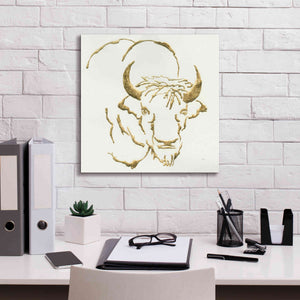 'Gilded Bison' by Chris Paschke, Giclee Canvas Wall Art,18 x 18