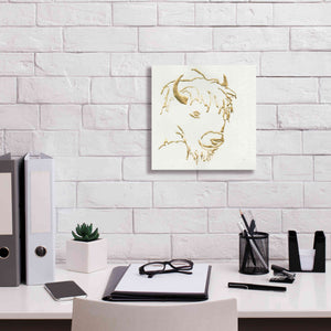 'Gilded Buffalo' by Chris Paschke, Giclee Canvas Wall Art,12 x 12