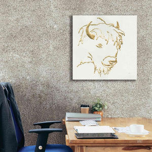 'Gilded Buffalo' by Chris Paschke, Giclee Canvas Wall Art,26 x 26