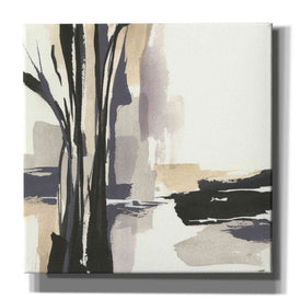 'Placid I' by Chris Paschke, Giclee Canvas Wall Art