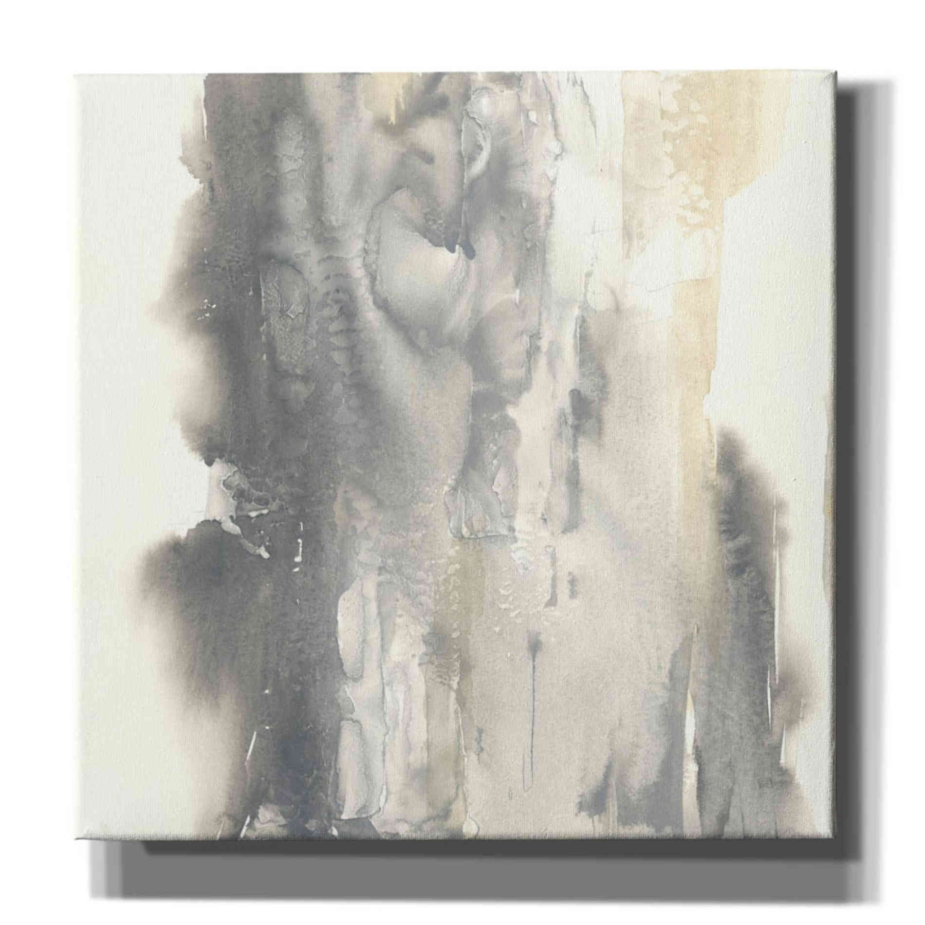'Pale Taupe I' by Chris Paschke, Giclee Canvas Wall Art