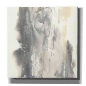 'Pale Taupe I' by Chris Paschke, Giclee Canvas Wall Art